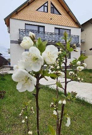 Casuta Noastra - Sulina Hotel Exterior foto